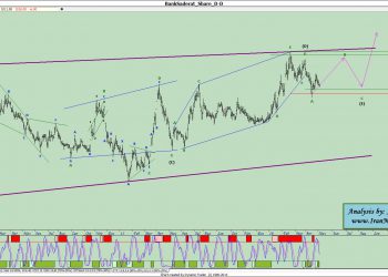 آنالیز نئوویو بانک صادرات شماره ۱۲